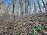 383 Blue Mist Mountain Road - Photo 43