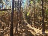 451 Low Bridge Road - Photo 15