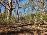451 Low Bridge Road - Photo 3
