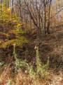 0 Mcnary Drive - Photo 9