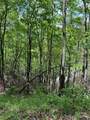 Lot 8 Falls View Drive - Photo 11