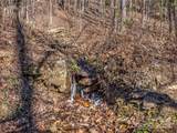 99999 High Cliffs Trail - Photo 12