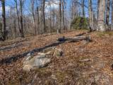 99999 High Cliffs Trail - Photo 22