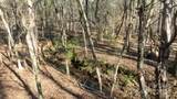 633 Weston Acres Road - Photo 11