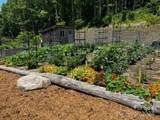 LOT 51 Mountain Grove Lane - Photo 7