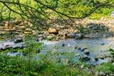 00000 Tumbling Falls Drive - Photo 5