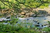 00000 Tumbling Falls Drive - Photo 4