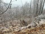 49 Ben Lippen School Road - Photo 13