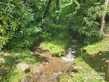 9 Red Leafe Trail - Photo 1