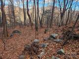 Lot 197 Bald Mountain Crescent - Photo 7