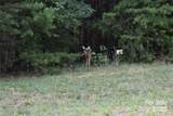 0 Whisper Lake Drive - Photo 41