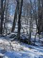 00 Wandering Trail - Photo 2