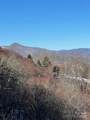 00 Wandering Trail - Photo 8