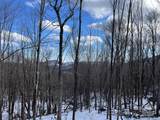 TBD (Lot 69) Poplar Forest Drive - Photo 1
