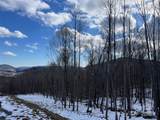 TBD (Lot 69) Poplar Forest Drive - Photo 12