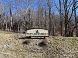 TBD (Lot 69) Poplar Forest Drive - Photo 15