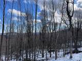 TBD (Lot 69) Poplar Forest Drive - Photo 3