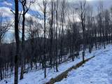 TBD (Lot 69) Poplar Forest Drive - Photo 5