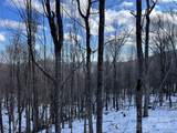 TBD (Lot 69) Poplar Forest Drive - Photo 6