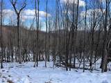 TBD (Lot 69) Poplar Forest Drive - Photo 10