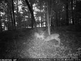 7210 Mission Road - Photo 12