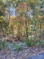 lot 46 Bald Eagle Lane - Photo 11