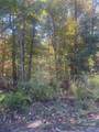 lot 46 Bald Eagle Lane - Photo 10