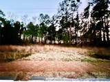 TBD Wateree Road - Photo 8