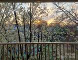 225 Chase Street - Photo 45