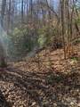 TR 6 Little Bit Trail - Photo 11