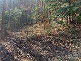 TR 6 Little Bit Trail - Photo 12