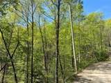 TR 6 Little Bit Trail - Photo 13