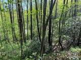 TR 6 Little Bit Trail - Photo 15