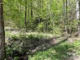 TR 6 Little Bit Trail - Photo 16