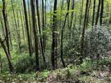TR 6 Little Bit Trail - Photo 17
