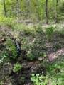 TR 6 Little Bit Trail - Photo 18