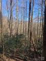 TR 6 Little Bit Trail - Photo 10