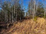 Lot 37 Mountain Lane - Photo 2