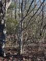 210 Thistlewynd Trail - Photo 2