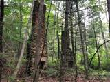 TBD Maines Hill Lane - Photo 3