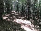 TBD Maines Hill Lane - Photo 46