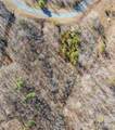TBD Coal Pit Mountain Road - Photo 4