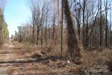 601 Boundary Street - Photo 4