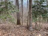 000 Orchard Mountain Road - Photo 8