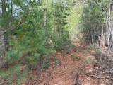 TBD Wolf Pen Road - Photo 15