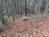 TBD Wolf Pen Road - Photo 3