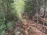 TBD Wolf Pen Road - Photo 7