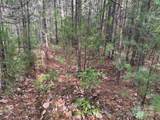 TBD Wolf Pen Road - Photo 8