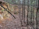 TBD Wolf Pen Road - Photo 10