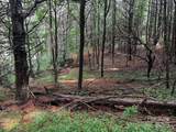 TBD Flat Springs Road - Photo 31